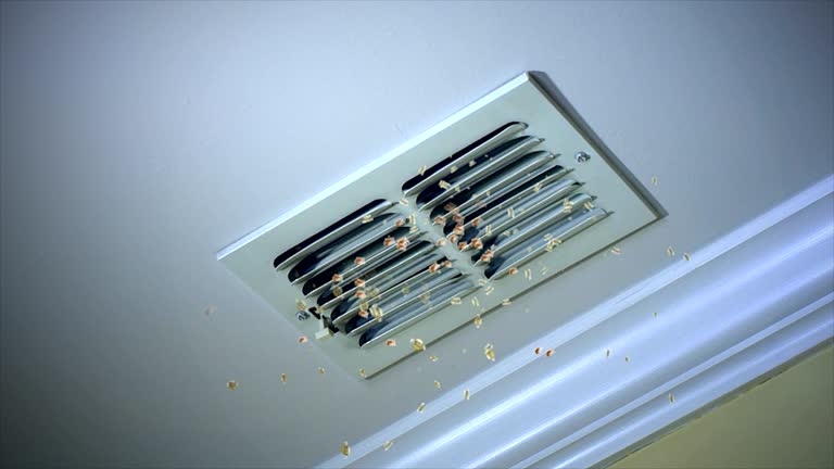 Best Air Duct Mold Removal  in Home, WA